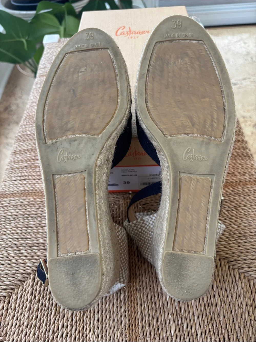 Castaner Carol Wedge Espadrille